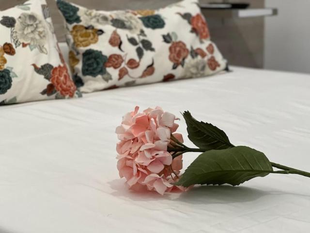 Hostal Rias Bajas Madrid Dış mekan fotoğraf